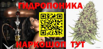 PSILOCYBIN Малоярославец