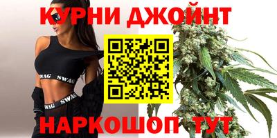 сатива Малгобек