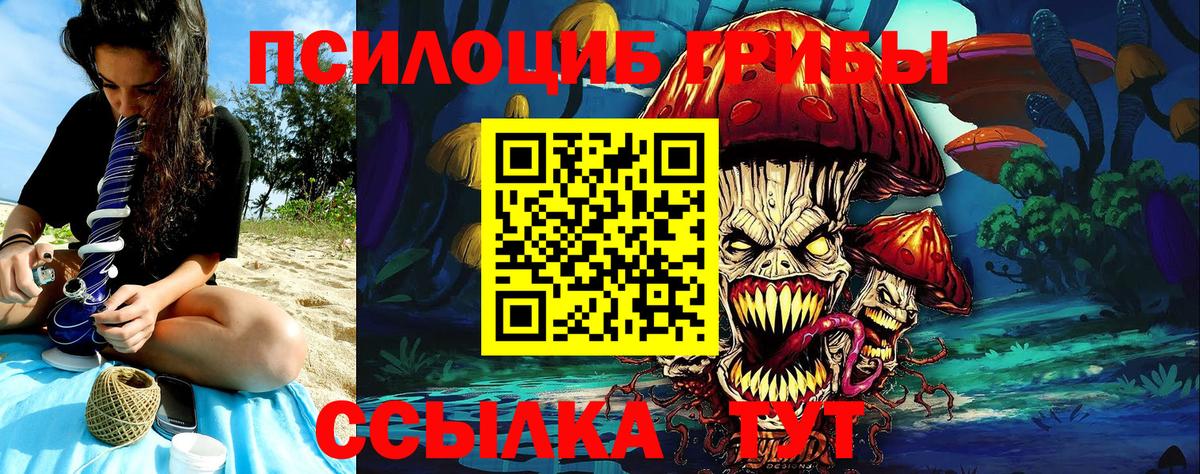 Псилоцибиновые грибы Psilocybine cubensis Черногорск