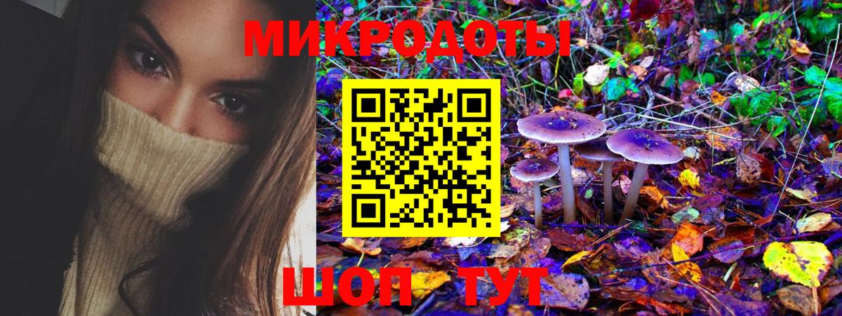 Черногорск  Галлюциногенные грибы Cubensis  Вход с VPN 