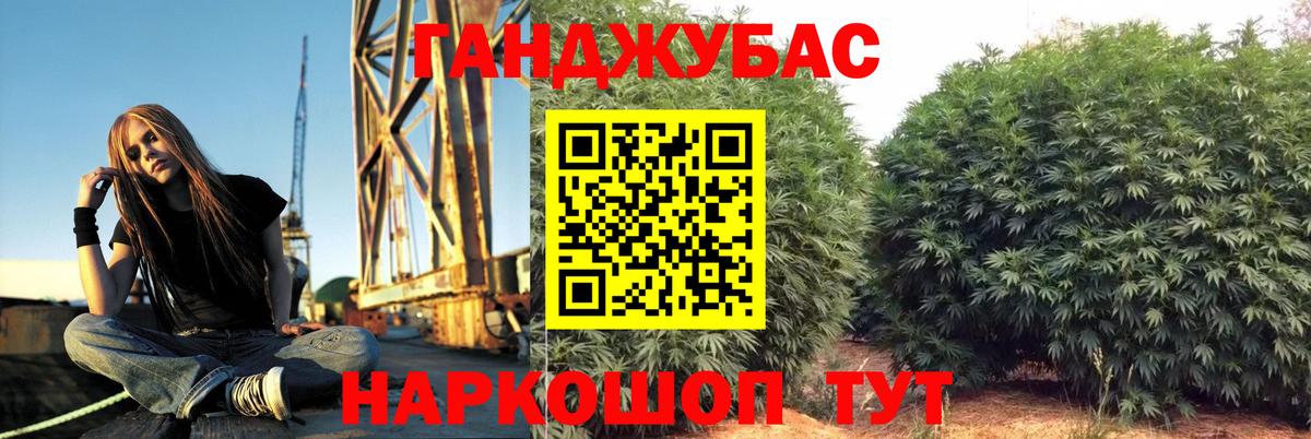 Марихуана план Черногорск